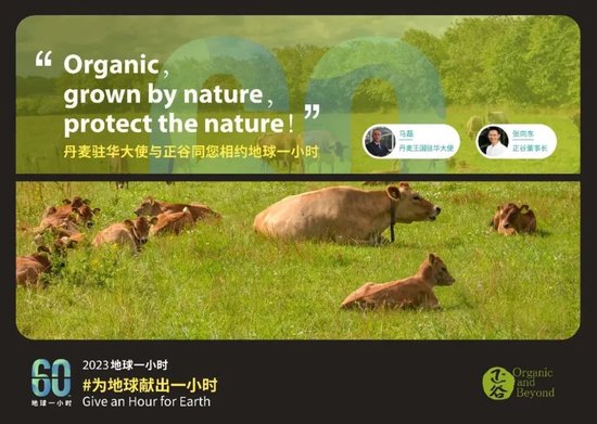张向东：展望2025，有机食物与未来的探索和实践  第40张