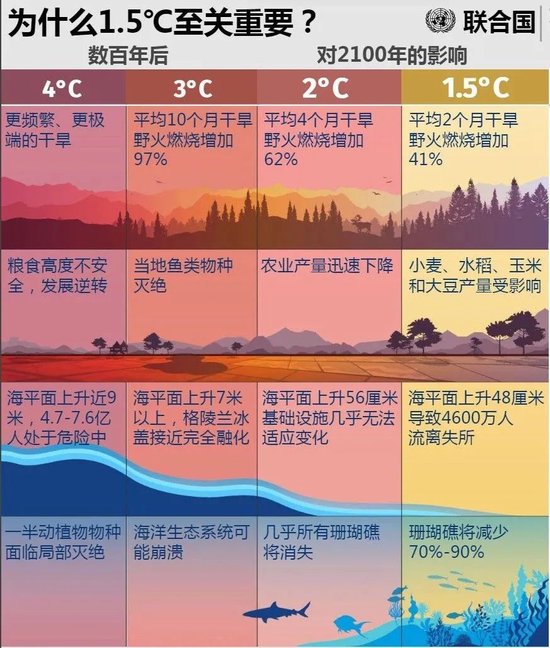 张向东：展望2025，有机食物与未来的探索和实践  第45张