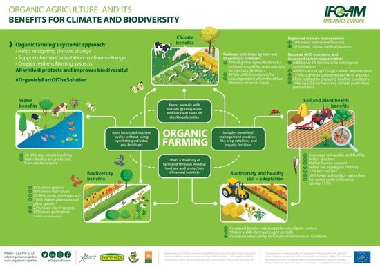 张向东：展望2025，有机食物与未来的探索和实践  第49张