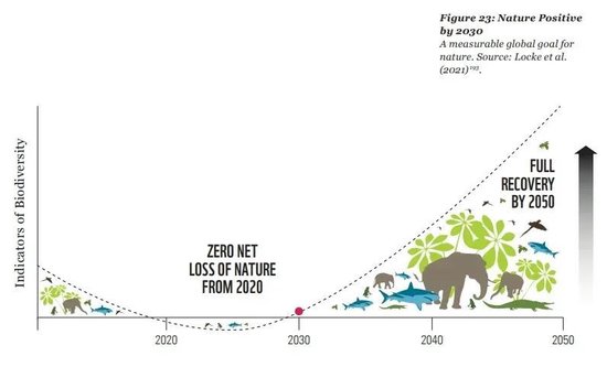 张向东：展望2025，有机食物与未来的探索和实践  第50张