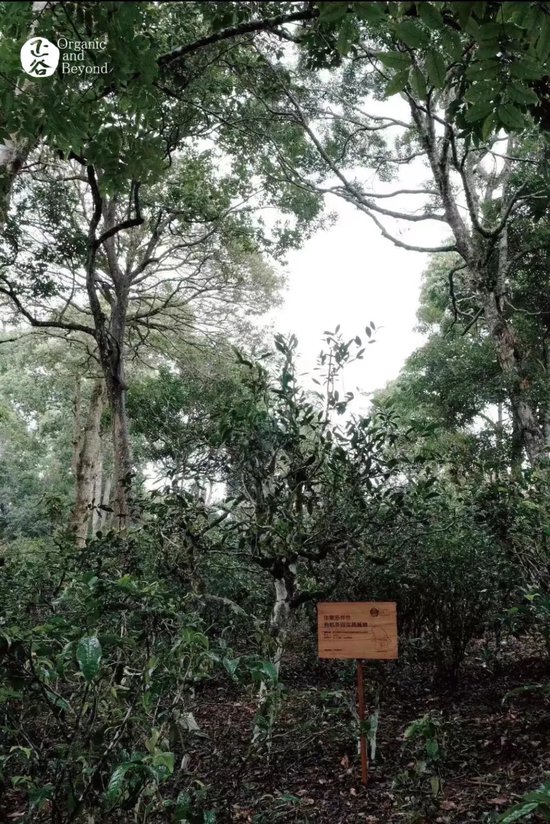 张向东：展望2025，有机食物与未来的探索和实践  第51张