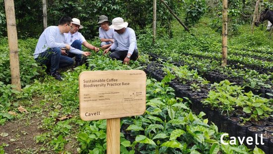 张向东：展望2025，有机食物与未来的探索和实践  第52张