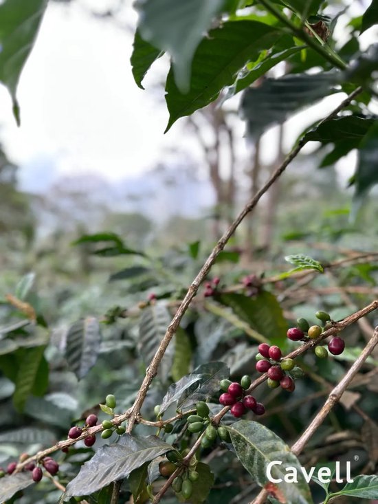 张向东：展望2025，有机食物与未来的探索和实践  第53张