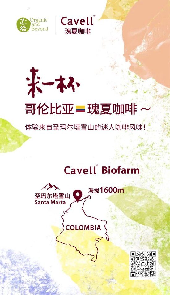 张向东：展望2025，有机食物与未来的探索和实践  第54张