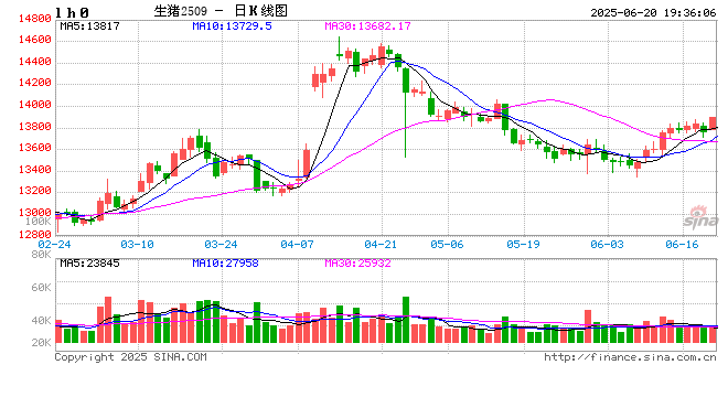 卓创资讯:二季度河北生猪市场行情先小涨后震荡回落 第2张 卓创资讯:二季度河北生猪市场行情先小涨后震荡回落 第2张