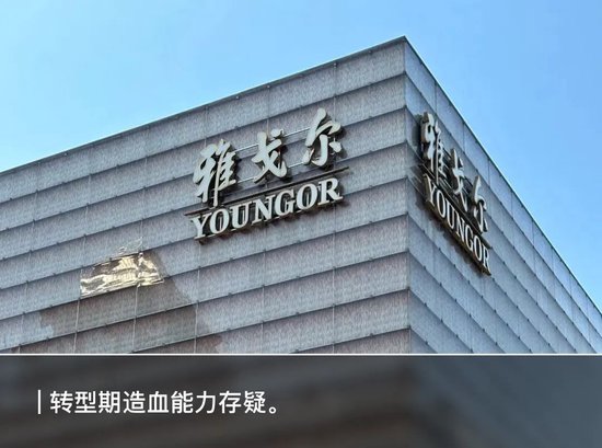 砍完地产卖金融，雅戈尔拿什么再赚140亿？  第1张
