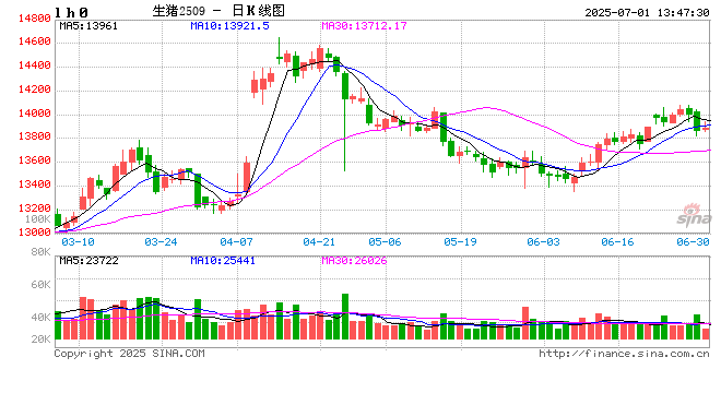光大期货生猪半年报:供应压力持续 预计下半年猪价弱稳运行 第2张 光大期货生猪半年报:供应压力持续 预计下半年猪价弱稳运行 第2张