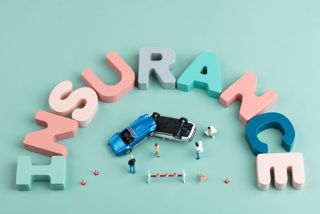 保险的续保权具体是指什么？  第1张