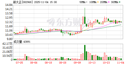 新大正：累计回购公司股份597300股  第1张