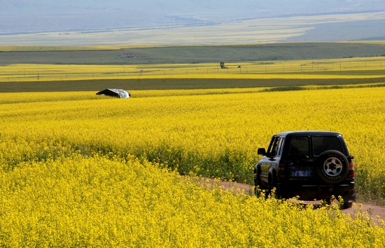 自驾游时车辆需要准备哪些物品？  第1张