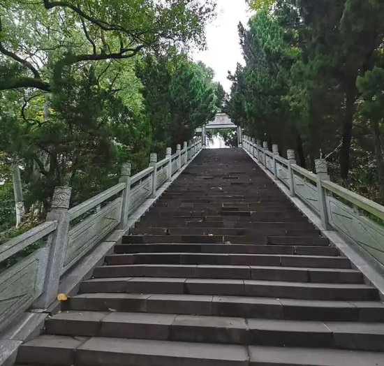 170亿资本入局,寿险市场迎来新晋保险巨头 第1张 170亿资本入局,寿险市场迎来新晋保险巨头 第1张