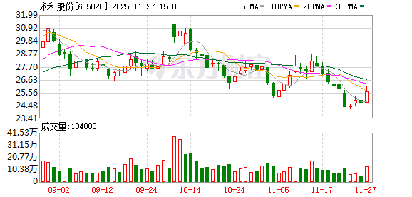 永和股份：公司控股子公司浙江乘龙主营业务为聚合物彩色颗粒细粉等产品的生产与销售  第1张