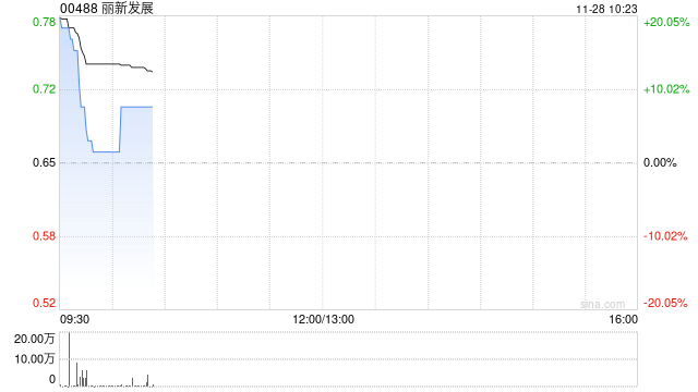 丽新发展于11月28日上午起复牌  第1张