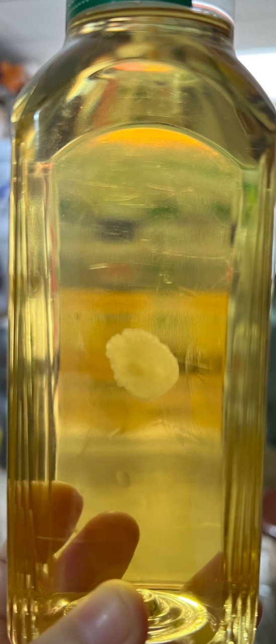 用东方树叶能养茶菌?农夫山泉：有异常立即停止饮用  第1张