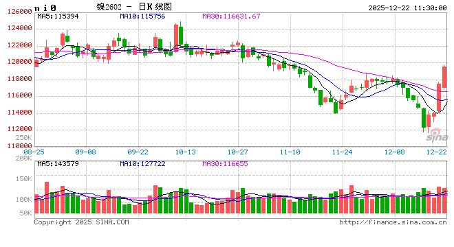 长安期货屈亚娟：印尼镍矿政策存扰动 但过剩压力尤在  第2张