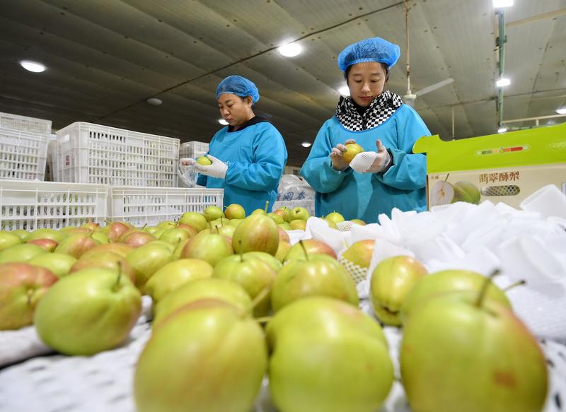 人民币创14个月来新高，出口商“肉痛”一到账就结汇  第1张