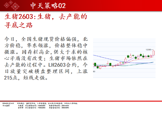 中天期货:商品指数继续上行 碳酸锂短线调整 第5张 中天期货:商品指数继续上行 碳酸锂短线调整 第5张