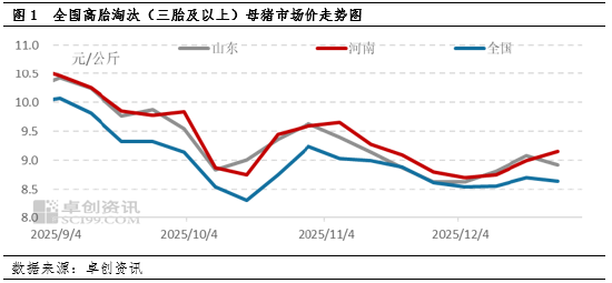 2025年四季度淘汰母猪：价格跟随肥猪震荡，抗跌属性成亮点  第3张