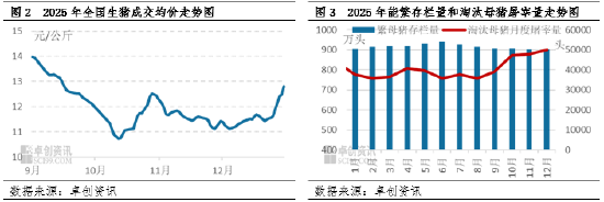 2025年四季度淘汰母猪：价格跟随肥猪震荡，抗跌属性成亮点  第4张