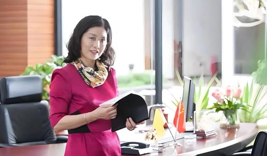 220亿神秘女富豪被查！同一天当地市长落马，前夫曾因操纵股市被判刑  第3张