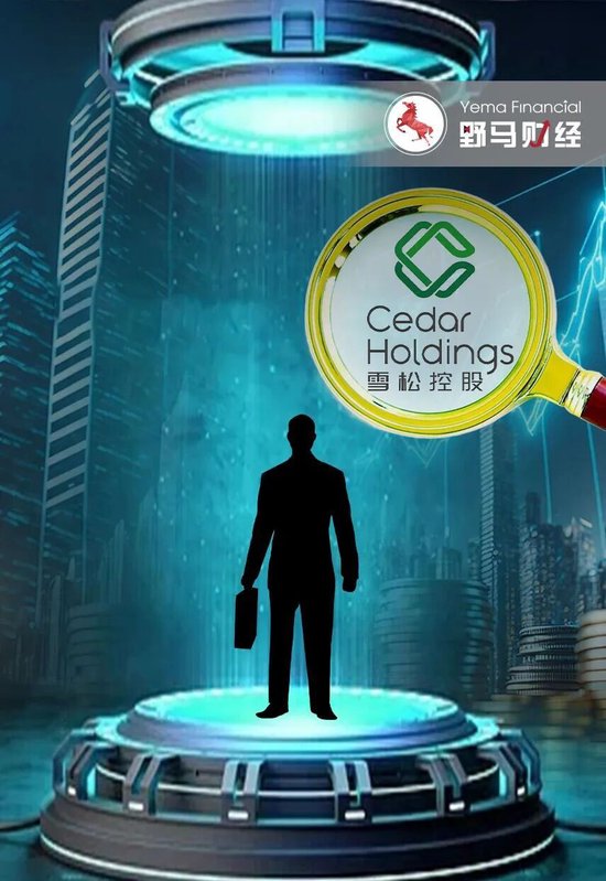 “广州前首富”被判无期！“雪松系”200亿集资窟窿何偿？  第1张