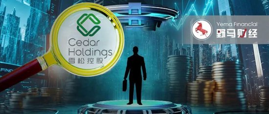 “广州前首富”被判无期！“雪松系”200亿集资窟窿何偿？  第3张