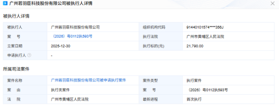 若羽臣成被执行人：猛砸销售费用驱动业绩增长，负债激增现金已难覆短债  第2张