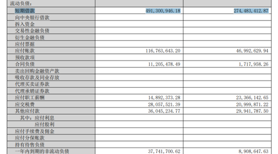 若羽臣成被执行人：猛砸销售费用驱动业绩增长，负债激增现金已难覆短债  第6张