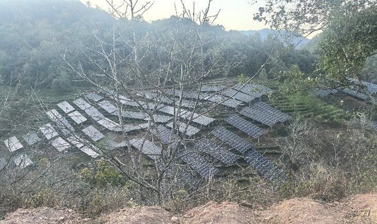 【申万宏源研究春节见闻】滇南新春行:好风好光好风光 澜沧碧波谱华章 第2张 【申万宏源研究春节见闻】滇南新春行:好风好光好风光 澜沧碧波谱华章 第2张