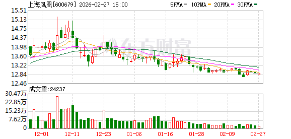 上海凤凰:公司未发生逾期担保 第1张 上海凤凰:公司未发生逾期担保 第1张