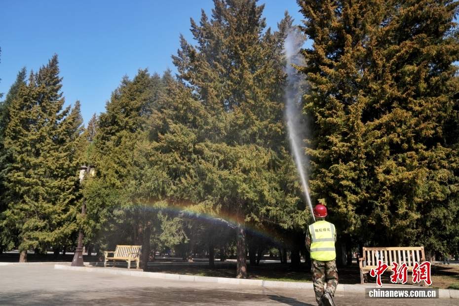 北京:多措并举治理致敏花粉 第5张 北京:多措并举治理致敏花粉 第5张