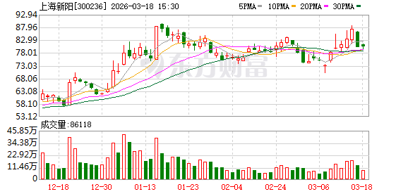 上海新阳：合肥扩产项目还在进展中  第1张