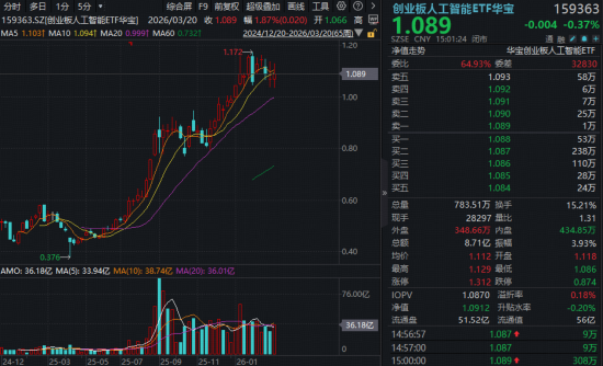 沪指年内新低！“为AI发电”实力抗跌，双创成功逆袭！阿里绩后重挫，华宝基金港股互联网ETF跌至冰点  第6张
