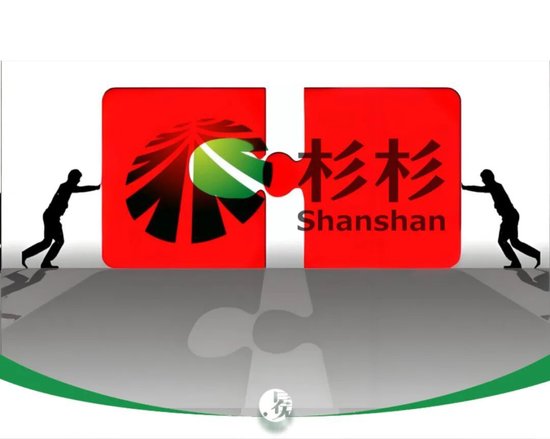 杉杉重整，海螺系真的是“如意郎君”吗？  第1张