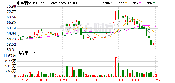 中国瑞林:正深入推进“技术+管理+资本”协同驱动 第1张 中国瑞林:正深入推进“技术+管理+资本”协同驱动 第1张