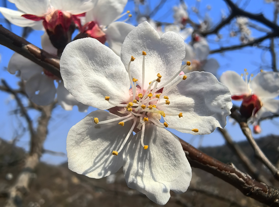 万亿公募汇添富:“选股专家”变“被动之家” 第1张 万亿公募汇添富:“选股专家”变“被动之家” 第1张