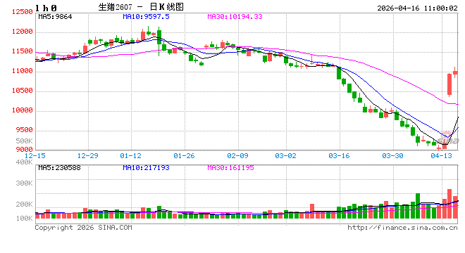 华泰期货:压力有所放缓,生猪行情阶段夯实 第2张 华泰期货:压力有所放缓,生猪行情阶段夯实 第2张